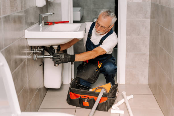 Best Drain Cleaning & Maintenance in Wlowbrook, IL